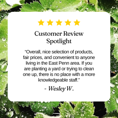 Customer Review for the garden center
